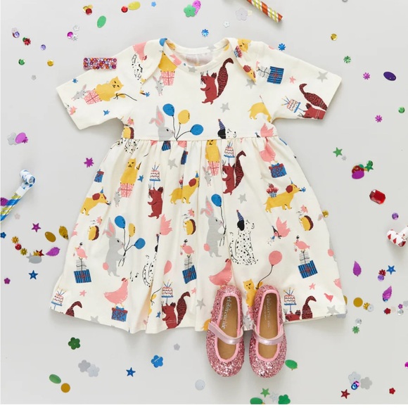 Pink Chicken Other - Pink Chicken Girls Organic Steph Dress Birthday Buddies Size 6